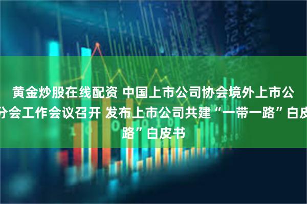 黄金炒股在线配资 中国上市公司协会境外上市公司分会工作会议召开 发布上市公司共建“一带一路”白皮书