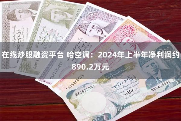 在线炒股融资平台 哈空调：2024年上半年净利润约890.2万元